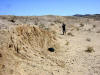 Vertical scarp formed during the 1992 Landers earthquake, after eleven years of desert erosion