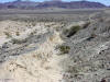 Vertical scarp formed during the 1992 Landers earthquake, after eleven years of desert erosion