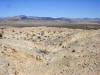 Scarp from 1992 Landers earathquake