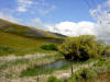 Sag pond near Gorman, CA on San Andreas fault