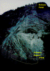 Old scan of Cliff with release point and impact point